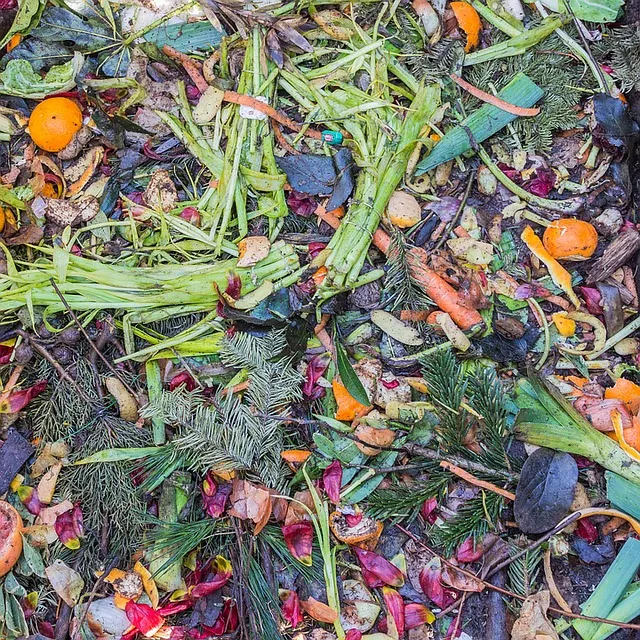 Kompostownik domowy to mądry sposób na zagospodarowanie odpadów organicznych